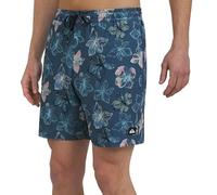 Quiksilver Men's Swimwear Regular Fit Stretchable Comfort Liner Swim Trunks (Pack of 1)
