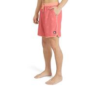 Quiksilver Men's Swimwear Regular Fit Stretchable Comfort Liner Swim Trunks (Pack of 1)