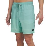 Quiksilver Men's Swimwear Regular Fit Stretchable Comfort Liner Swim Trunks (Pack of 1)