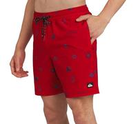 Quiksilver Men's Swimwear Regular Fit Stretchable Comfort Liner Swim Trunks (Pack of 1)