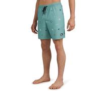 Quiksilver Men's Swimwear Regular Fit Stretchable Comfort Liner Swim Trunks (S-XXL)