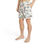 Quiksilver Men's Swimwear Regular Fit Stretchable Comfort Liner Swim Trunks (S-XXL)