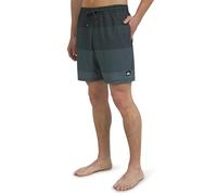 Quiksilver Men's Swimwear Regular Fit Stretchable Comfort Liner Swim Trunks (S-XXL)