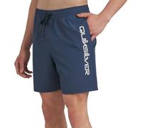 Quiksilver Men's Swimwear Regular Fit Stretchable Comfort Liner Swim Trunks, Solid Design-Seaport, Medium