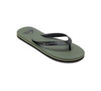 Quiksilver Molokai Core - Green