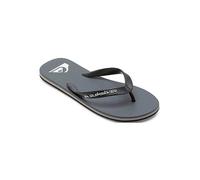 Quiksilver Men's Sandal Molokai Core – Summer Beach/Pool – Grey 1 UK 8