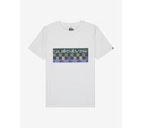 Quiksilver Next Gen Short Sleeve T-Shirt White Blue Grey Kid - 12