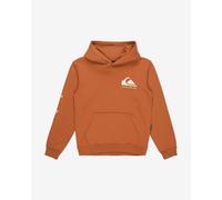 Quiksilver Omni Logo Hoodie Bright Orange Kids - 16