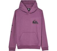 Quiksilver Omni Logo Hoodie Purple 8 Years Boy