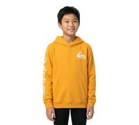 Quiksilver Hoodie OMNI LOGO HOODIE YOUTH Boys Yellow