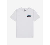 Quiksilver Palm Horizon Short Sleeve T-Shirt White Blue Green Kid - 8