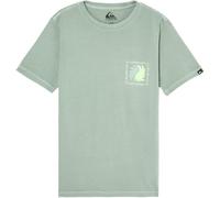 Quiksilver Pants EVO Vibes Y Boys Green