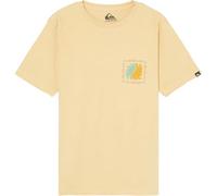 Quiksilver Pants EVO Vibes Y Boys Yellow