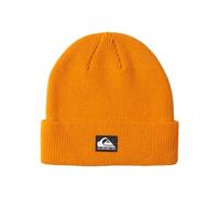 Quiksilver Performer - Beanie for Men