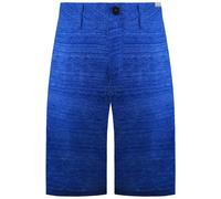 Quiksilver Platypus Amphibian Mens Blue Shorts - Size 30 (Waist)