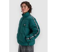 Quiksilver Puff The Dragon Jacket botanical garden L