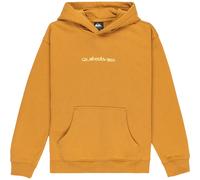 Quiksilver Salt Water Graphic Hoodie