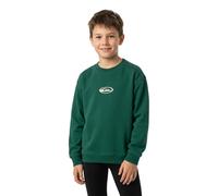 Quiksilver Salt Water Graphic Sweatshirt