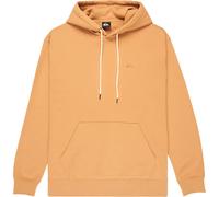 Quiksilver Salt Water Hoodie Beige XS Men