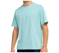 Quiksilver Short Sleeve T-Shirt Salt Water SS Mens Blue