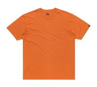 Quiksilver Mens Salt Water Tee T-Shirt, Bran, XL EU