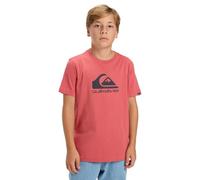 Quiksilver Short-Sleeved T-Shirt EV COMP Logo SS Kids Boy's Pink 8