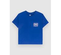 Quiksilver Standard T-Shirt surf the web M