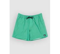 Quiksilver Stretch Piped Volley 16 Boardshorts leprechaun S