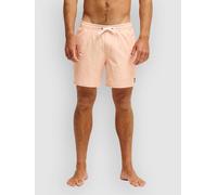 Quiksilver Stretch Printed Volley 16 Boardshorts strerling blue beach daze L