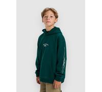 Quiksilver Stretch Tribal Kids Hoodie botanical garden T16