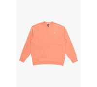 Quiksilver Salt Water - Pullover Sweatshirt for Men