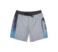 Quiksilver Swim Shorts Everyday Holmes Volley 17 Men's Grey L