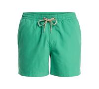 Quiksilver Swim Shorts Everyday Volley 15 Mens Green
