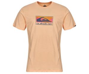 Quiksilver T shirt EV GRADIENT BOX SS in Pink EU S