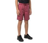 Quiksilver Taxer Shorts