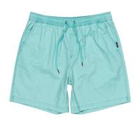 Quiksilver Shorts Taxer WS Men Blue S
