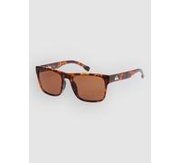 Quiksilver Time Box Shiny Tortoise Sunglasses brown Uni