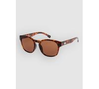Quiksilver Time Box Shiny Tortoise Sunglasses brown Uni