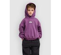 Quiksilver Tricks Boys Kids Hoodie grape jam T03