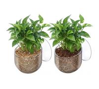 Quilax 2 Pcs Aquarium Plant Holder, Live Aquarium Plants Holder with Suction Cup, Plastic Fish Tank Plant Holders, Clear Red Worm Fish Feeder for Aquascape Decoration