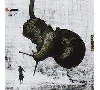 Quilibri - Il Drago E' Astratto