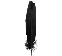 Quill Pen, Black, Magic, Rituals, Spelling, Magic, Divination, Healing, Programming, Etc