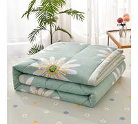 Quilted Bedspread for Single Double Size, Soft Lightweight Printed Pattern Reversible Quilted Bed Throw Patchwork Quilt, Sofa Blanket,E,180x200cm