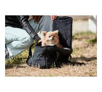 Quilted dog carrier bag Catago