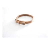 Quilted dog collar with plate Martin Sellier