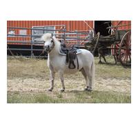 Quilted western horse rug Westride Navajo [Shetland size]