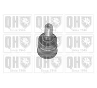 Quinton Hazell Ball Joint- Front L&RH - QSJ3490S