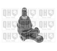 Quinton Hazell Ball Joint - Front Lower L&RH - QSJ3366S