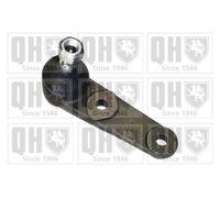 Quinton Hazell Ball Joint Front Lower - QSJ1142S