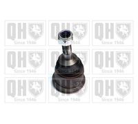 Quinton Hazell Ball Joint Front Lower - QSJ3503S
